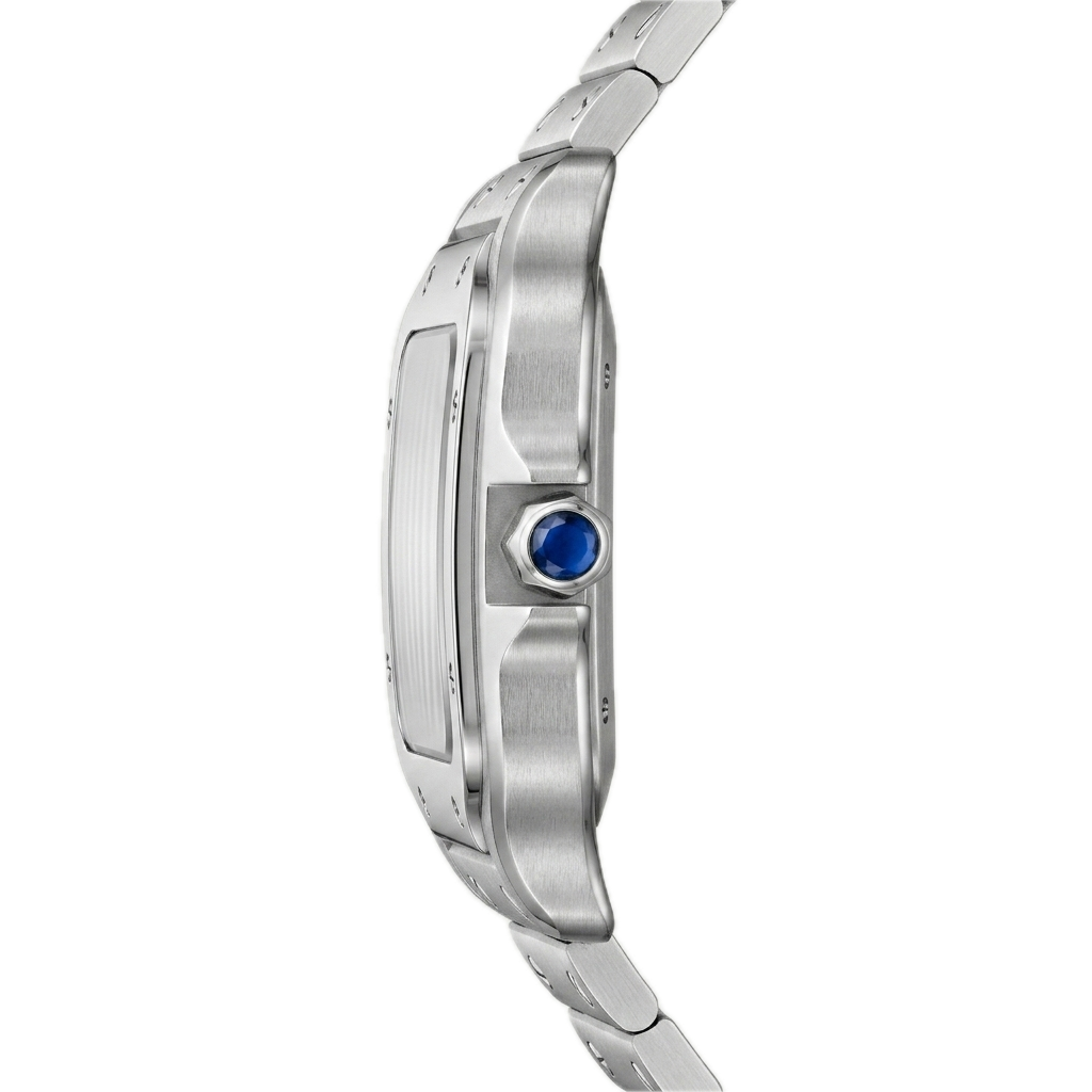CARTIER SANTOS DE CARTIER WATCH SILVER BLUE