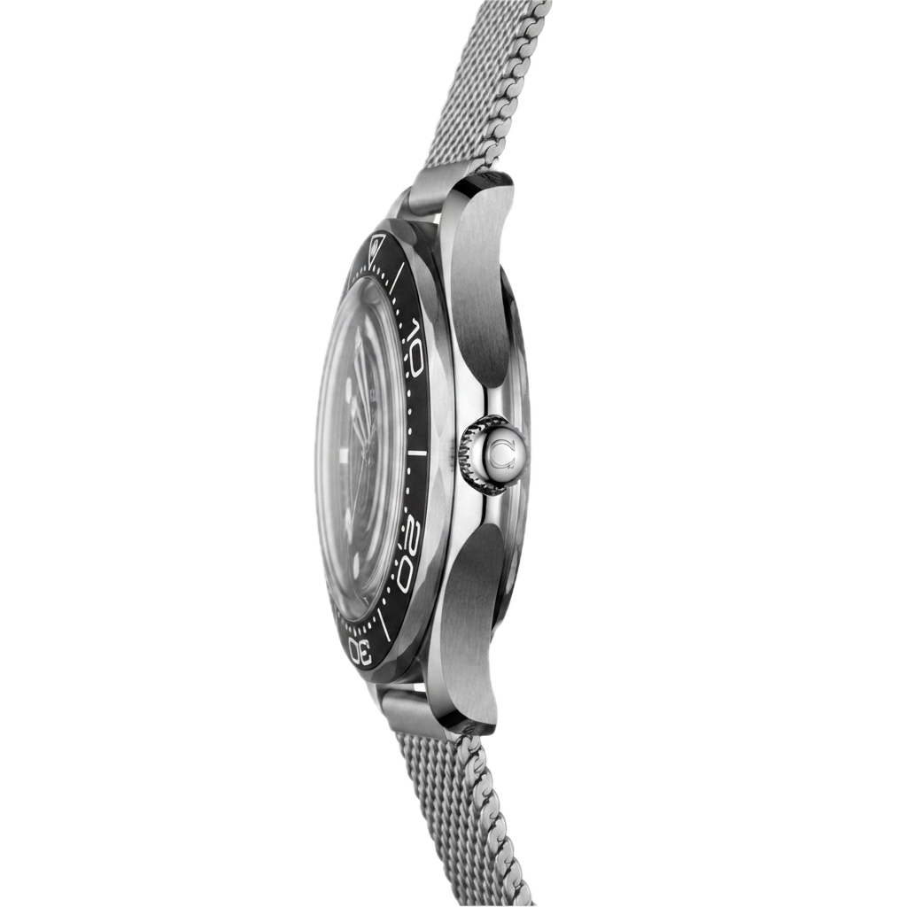 OMEGA – SEAMASTER DIVER 300M (SILVER BLACK)